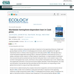 Worldwide hemisphere-dependent lean in Cook pines - Johns - 2017 - Ecology
