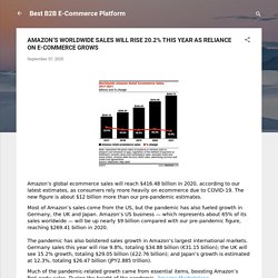 Amazon consultancy - B2B Online Marketplace