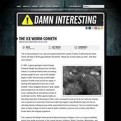 The Ice Worm Cometh