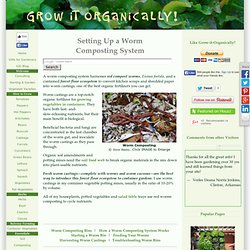 Worm Composting System, Red Worms Composting, Worm Composting Bins