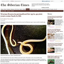 Worms frozen in permafrost for up to 42,000 years come back to life