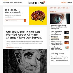 Are You Deep-in-the-Gut Worried About Climate Change? Take Our Survey.