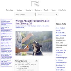 Worried About Pet’s Health? 6 Best Use Of Hemp Oil! - TechTravelHub