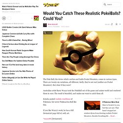 Would You Catch These Realistic Pok&Ball? Could You?