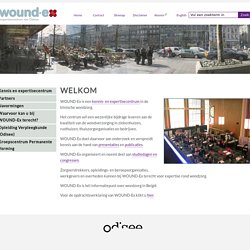 Wound-ex - Nederlands - " een van de twee dochterbedrijven van Secmatix "