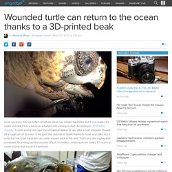 Wounded turtle can return to the ocean thanks to a 3D-printed beak