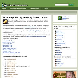 Engineering Leveling Guide