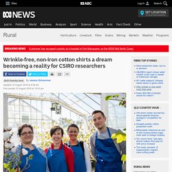 Wrinkle-free, non-iron cotton shirts a dream becoming a reality for CSIRO researchers - ABC Rural - ABC News
