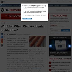 Wrinkled When Wet: Accidental or Adaptive?