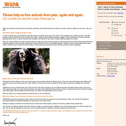 WSPA Animal Rescue