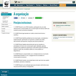 WWF Brasil - A organização