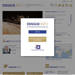www.dengue.info