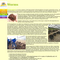 www.growingpower.org/worms.htm