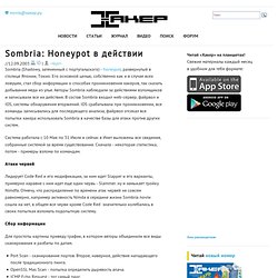 Online > Sombria: Honeypot в действии