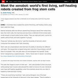 Xenobots: First living robots created from stem cells