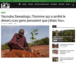 Yacouba Sawadogo, l’homme qui a arrêté le désert,«Les gens pensaient que j’étais fou». -