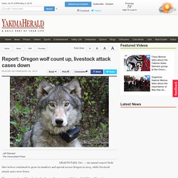 Report: Oregon wolf count up, livestock attack cases down