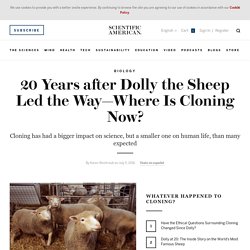 20 Years after Dolly the Sheep Led the Way&mdash;Where Is Cloning Now?