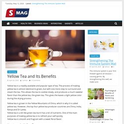 Yellow Tea and Its Benefits