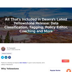 Dasera's Latest Yellowstone Release: Data Classification, Tagging, Policy Editor