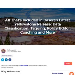 Dasera's Latest Yellowstone Release: Data Classification, Tagging, Policy Editor