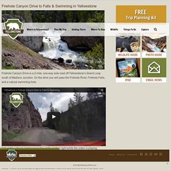 Yellowstone Firehole Canyon Drive to Falls & Swimming