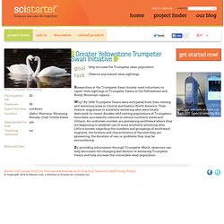 Greater Yellowstone Trumpeter Swan Initiative on SciStarter