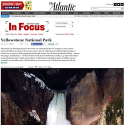 Yellowstone National Park - Alan Taylor - In Focus