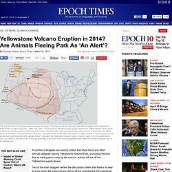 Yellowstone Volcano Eruption in 2014? Are Animals Fleeing Park As 'An Alert'?