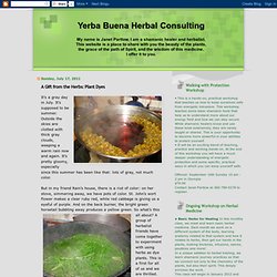 A Gift from the Herbs: Plant Dyes