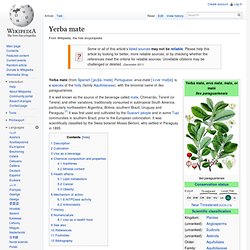 Yerba maté