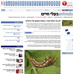ynet לא על הגולם לבדו: העולם הקסום של הזחלים - ירוק