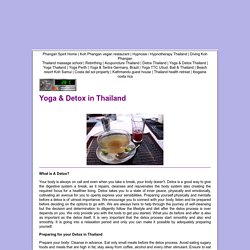 Yoga Retreat Detox in Thailand