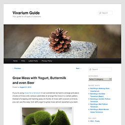 Grow Moss with Yogurt, Buttermilk and even Beer - Vivarium Guide