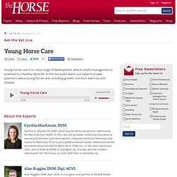 Young Horse Care (Ask the Vet)