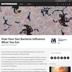 How Your Gut Bacteria Influence What You Eat