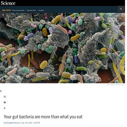 Your gut bacteria are more than what you eat