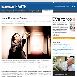 Your Brain on Booze