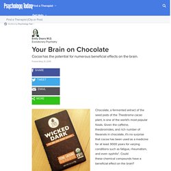 Your Brain on Chocolate