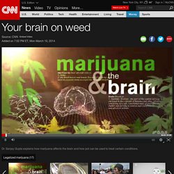Your brain on weed - CNN Video
