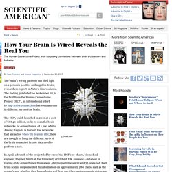 How Your Brain Is Wired Reveals the Real You