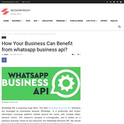 How Your Business Can Benefit From Whatsapp Business Api?