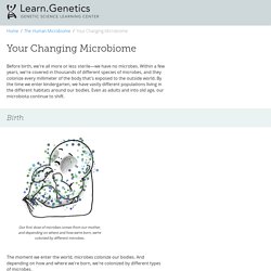 Your Changing Microbiome
