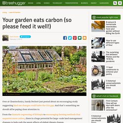 Your garden eats carbon (so please feed it well!)