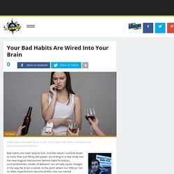 Your Bad Habits Are Wired Into Your Brain