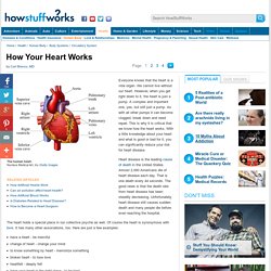 Discovery Health &quot;How Your Heart Works&quot;