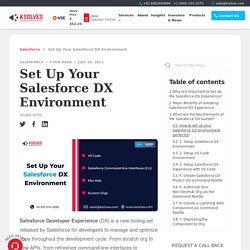 How to Set Up Your Salesforce DX Environment