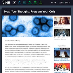 Your Thoughts Program Your Cells