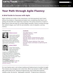 Your Path through Agile Fluency