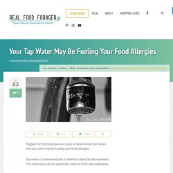 Your Tap Water May Be Fueling Your Food Allergies